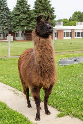 Life Care Center of Nashoba Valley