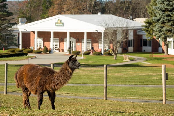 Life Care Center of Nashoba Valley