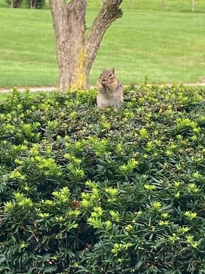 Life Care Center of Nashoba Valley