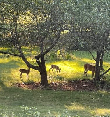 Life Care Center of Nashoba Valley