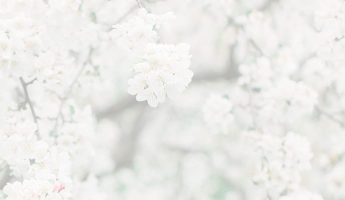 Joyful Companions Home Care