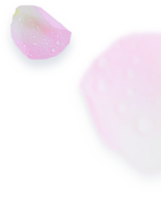 Orchard Manor Senior Care Home