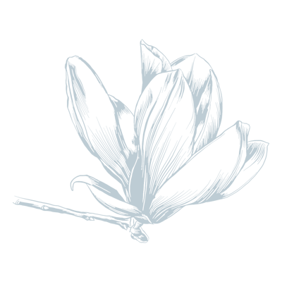 The Stewart Health Center