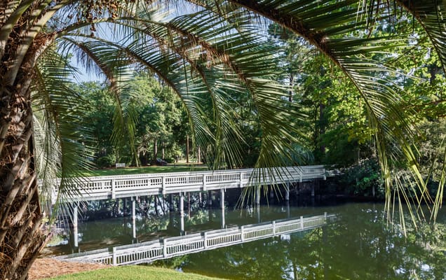 A peaceful view of a bridge over a pond surrounded by trees