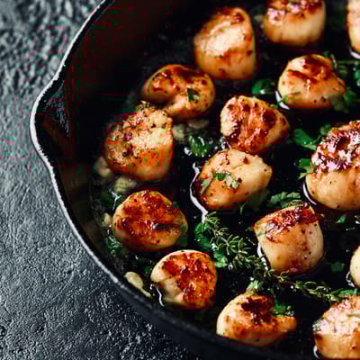 The Cypress of Charlotte