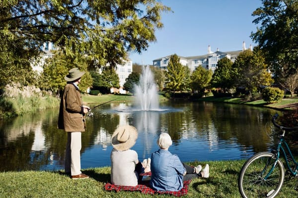 The Cypress of Charlotte