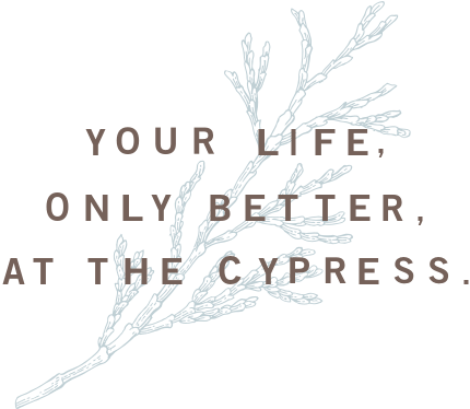 The Cypress of Charlotte