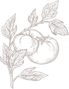 The Cypress of Charlotte