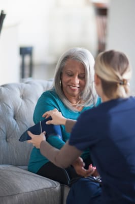 The Cypress of Charlotte