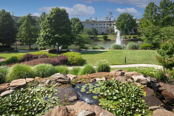 The Cypress of Charlotte