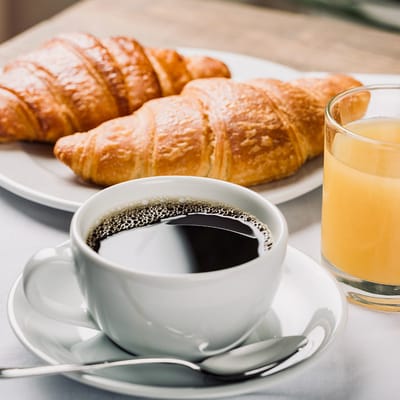 The Cypress of Charlotte