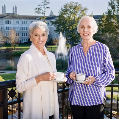 The Cypress of Charlotte