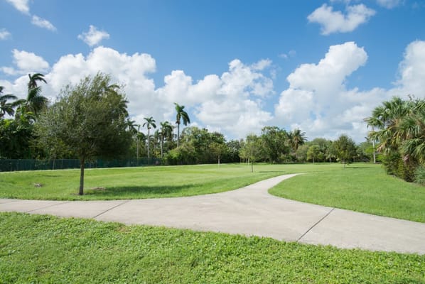 A winding pathway through a grassy park with trees and blue skies
