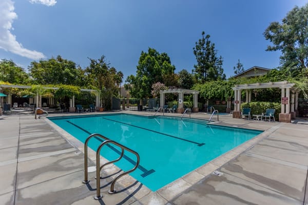 Clear view of a swimming pool surrounded by greenery