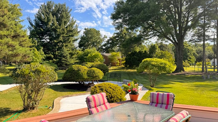 Well-maintained outdoor garden area with seating