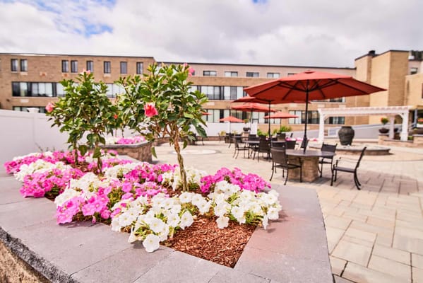 Outdoor space with flowers and seating area