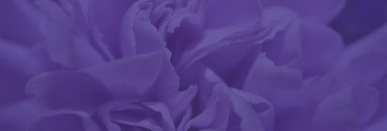 Angela Hospice Home Care, Inc.