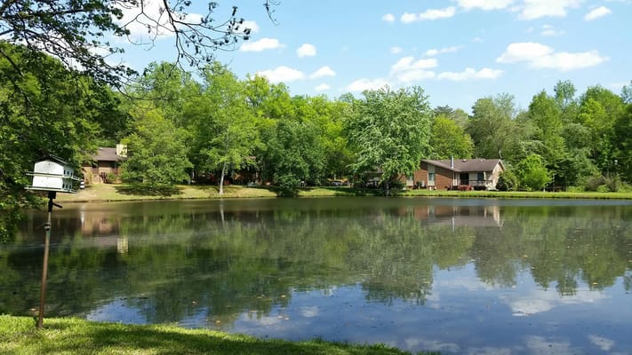 Scenic view of a pond surrounded by trees and buildings