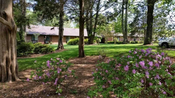 Lush outdoor space with flowers and paths