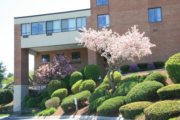 Hands and Hearts — photo 2