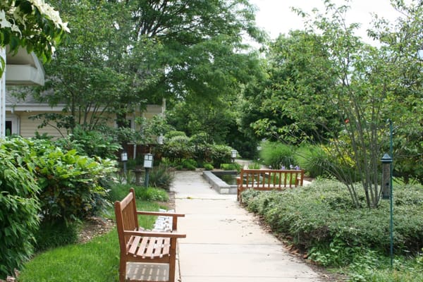 Pathway through a landscaped outdoor space with benches