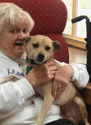 Resident enjoying time with a dog in a cozy setting