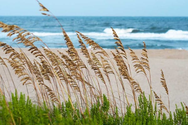 Safe Harbor Home Care