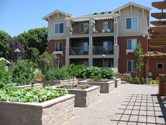 View of outdoor garden area with building in the background