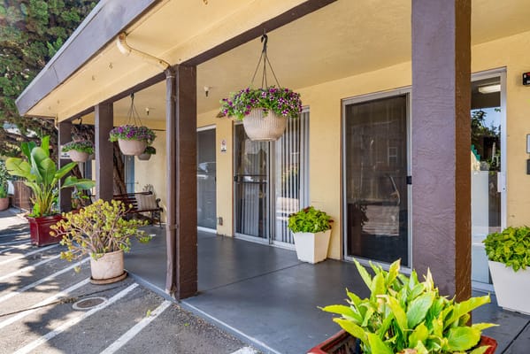 Outdoor entrance with hanging plants and seating area