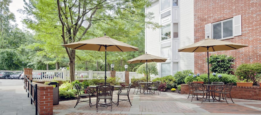 Outdoor seating area with umbrellas and greenery