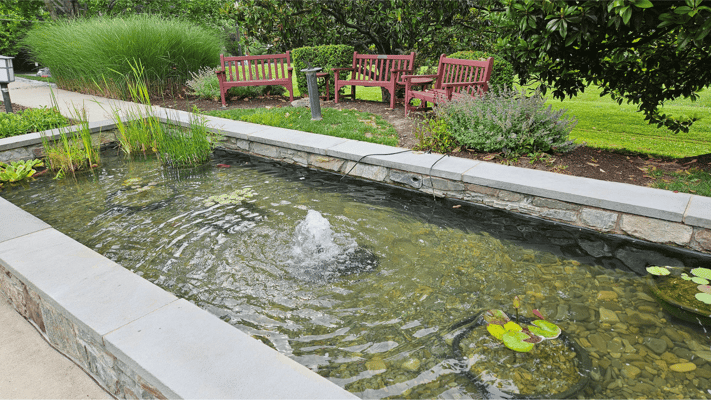 A tranquil outdoor space with a pond and seating area