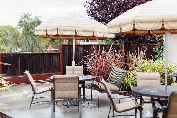 Outdoor seating area with umbrellas and plants
