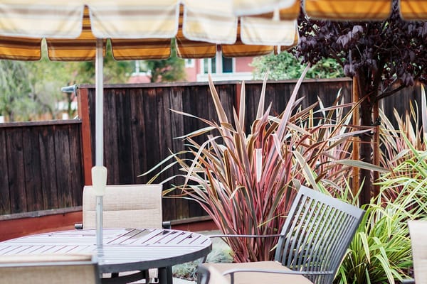 Outdoor seating area with colorful plants