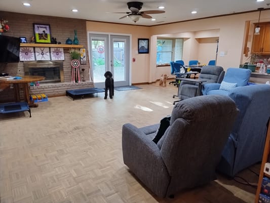 Bright common area with comfortable seating and a dog