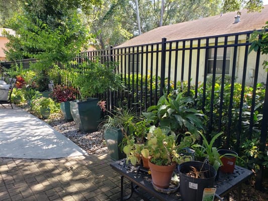 Pathway with potted plants in a garden area