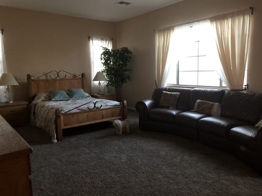 Bedroom with a bed, couch, and small dog