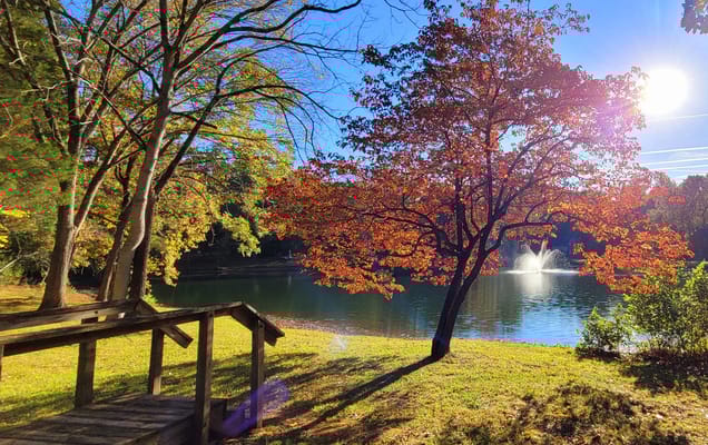 Scenic view of a lake with trees and a fountain