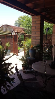 Garden area with plants and seating