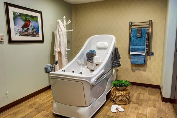 Accessible bathing area in a facility room