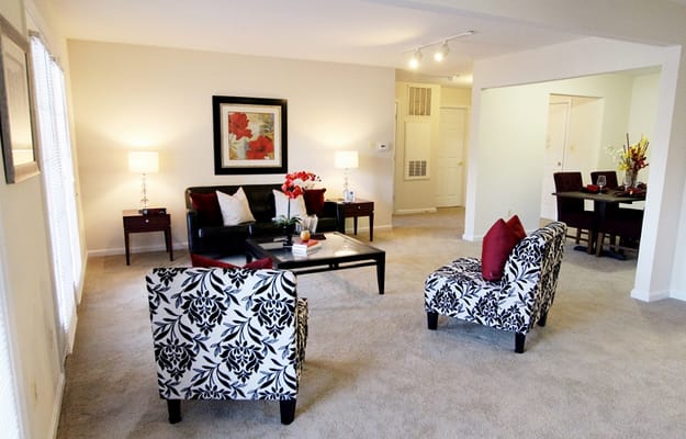 Bright and comfortable living room in a senior apartment