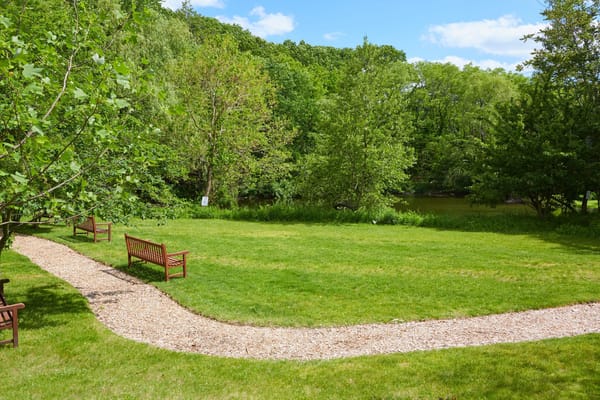 Serene outdoor space with benches and walking path