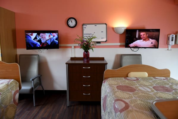 Interior view of a shared room with two beds, television screens, and a flower vase.