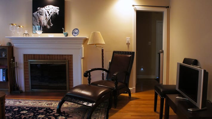 Comfortable living room with a fireplace and a chaise lounge