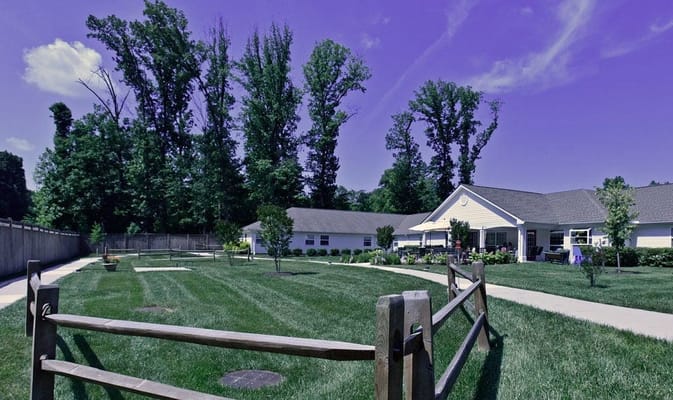 Outdoor space with greenery and walking paths