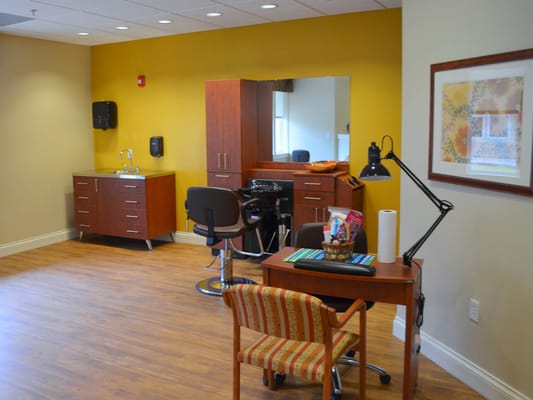 Interior view of a salon room with styling chair and workstation