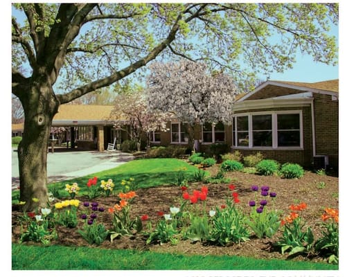 Beautiful garden area with colorful flowers and trees