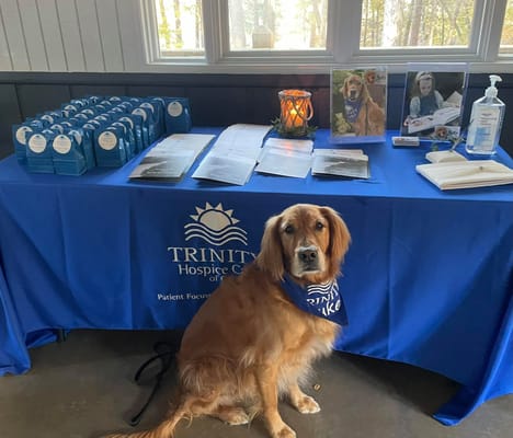 Golden Retriever wearing a blue bandana sitting in front of a table with brochures and photos.