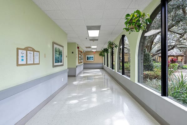 A bright corridor with windows overlooking greenery