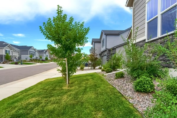 View of landscaped area in a residential setting