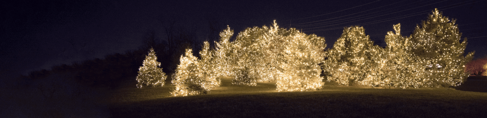 Hospice of Cincinnati